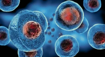 Puasa Membantu Regenerasi Sel Usus