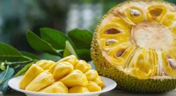Buah Nangka untuk Ibu Hamil, Apa Saja Manfaatnya?