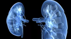 menjaga kesehatan ginjal