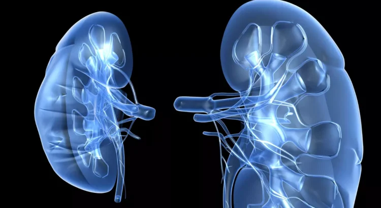 menjaga kesehatan ginjal