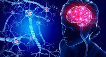 Huntington’s Disease: Penyakit Genetik yang Mengganggu Otak