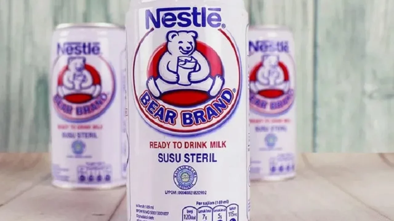 susu beruang