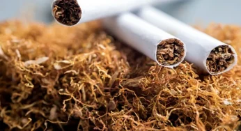 WCTC: Tantangan Global dalam Pengendalian Tembakau