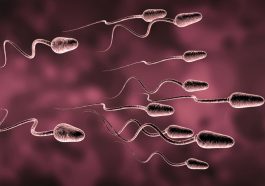 alergi sperma