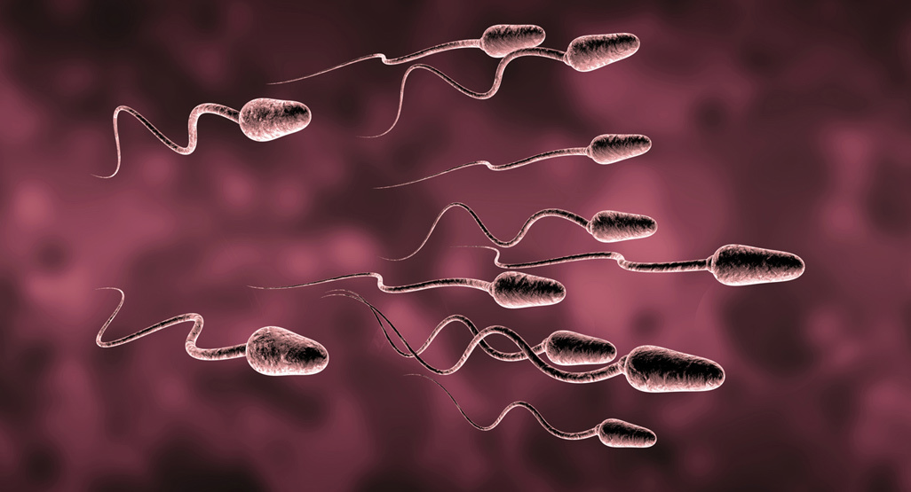 alergi sperma