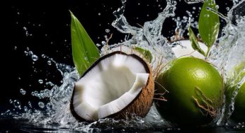 7 Momen Ideal Minum Air Kelapa, Bikin Tubuh Makin Sehat