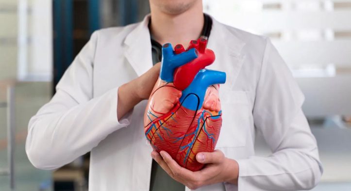 Jantung Bocor, Apakah Bisa Tetap Hidup? Ini Penjelasan Dokter