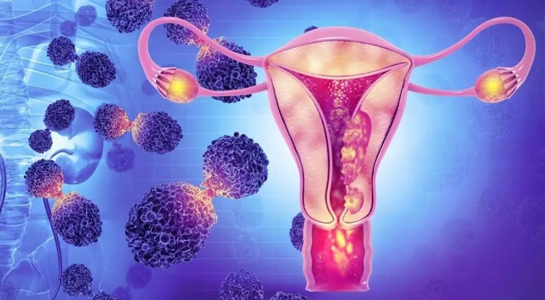 penularan hpv