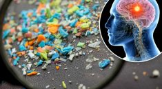 mikroplastik di otak