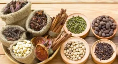 8 Obat Alami dan Tanaman Herbal yang Bermanfaat untuk Diabetes (shutterstock)