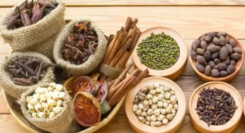 8 Tanaman Herbal dan Obat Alami Ampuh Bantu Kendalikan Diabetes